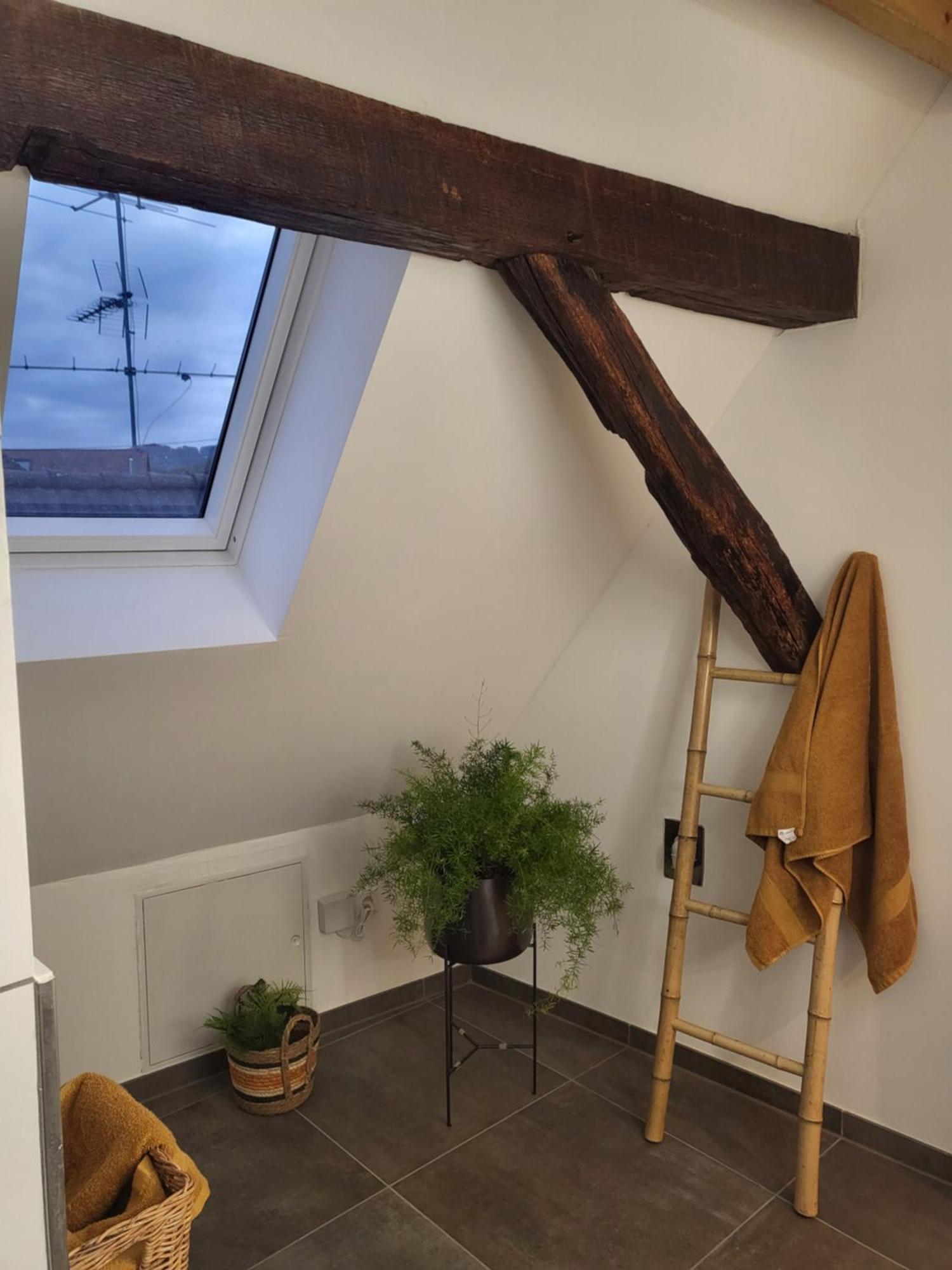 Ferienwohnung Im Rebstock Nr.1 Bahlingen  Buitenkant foto